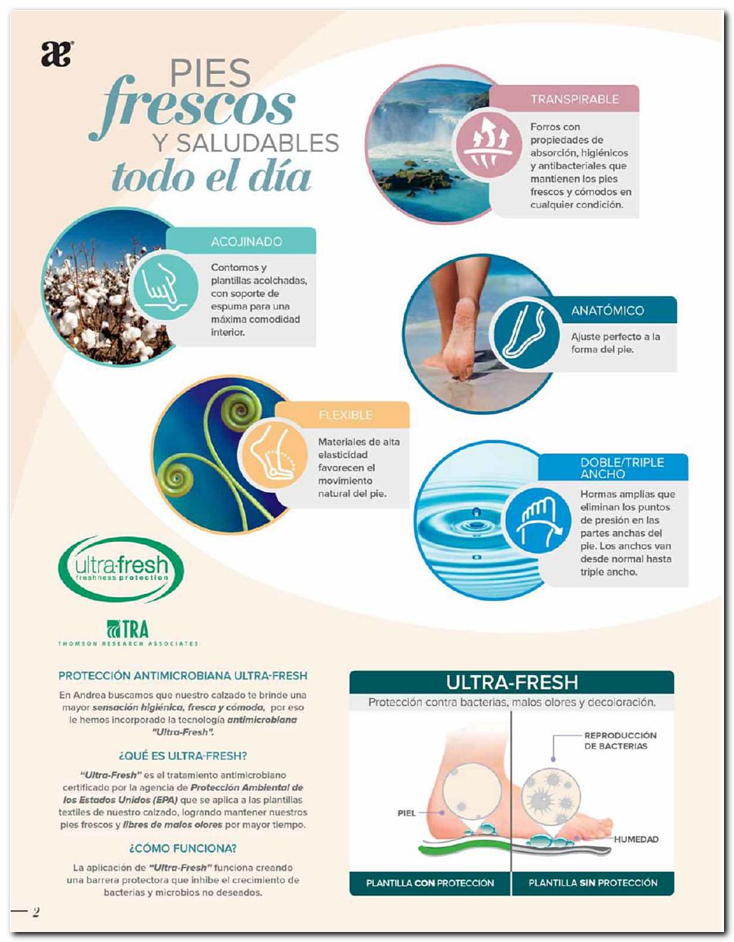 Ver Catalogo