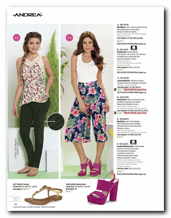 Ver Catalogo